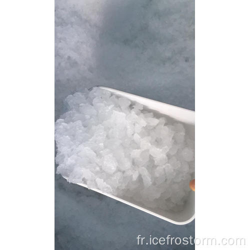 Grande machine de broyage de glace de flocon de neige à vendre